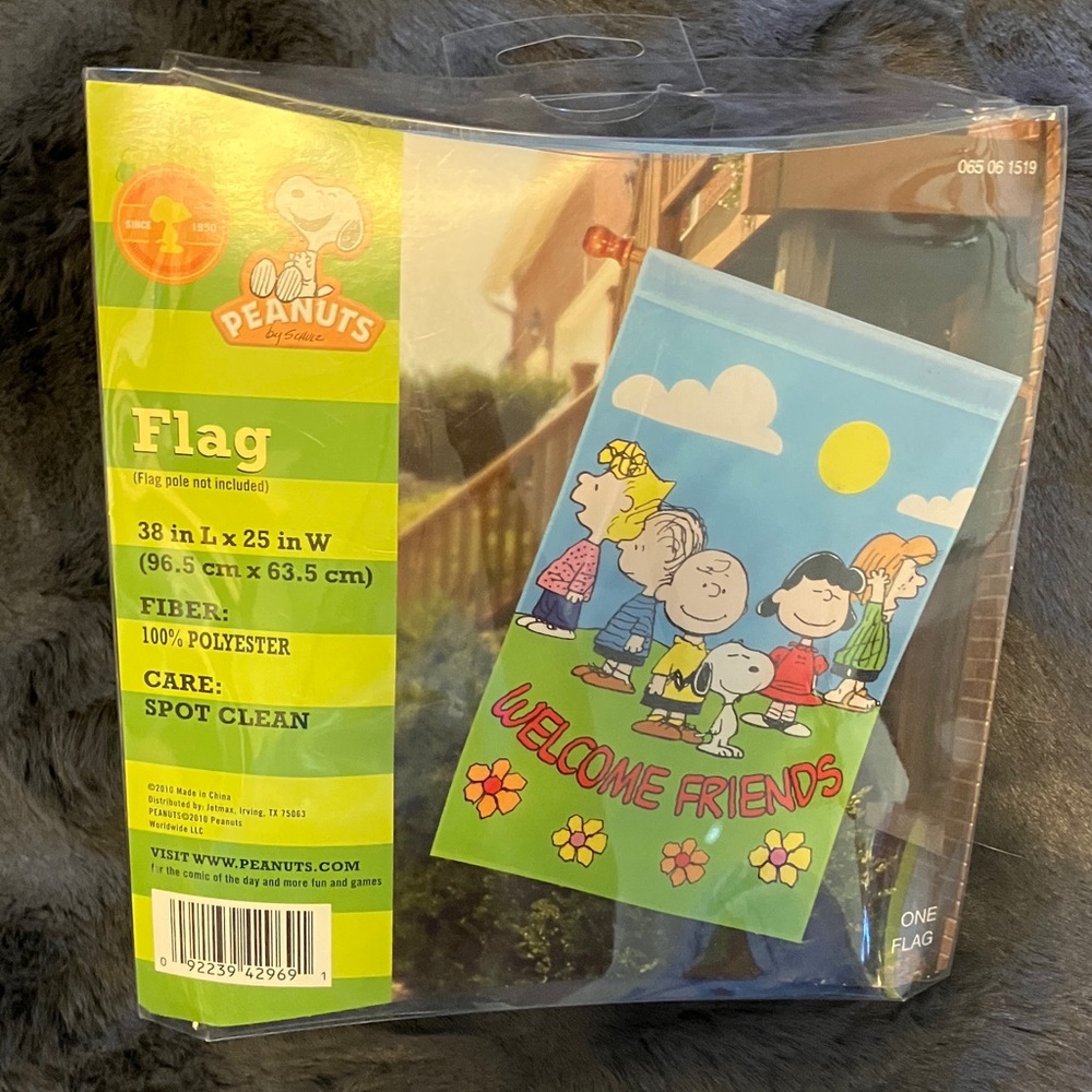 Peanuts Welcome Friends Flag - Blue and Green 38”x25” (Large)